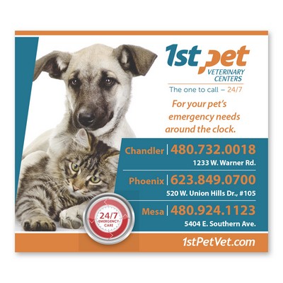 Rectangle Magnet 3-1/2 x 4